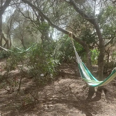Ecoglamping Entreraices Hotel Vejer de la Frontera Exterior photo