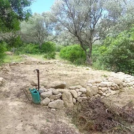 Ecoglamping Entreraices Hotel Vejer de la Frontera Exterior photo