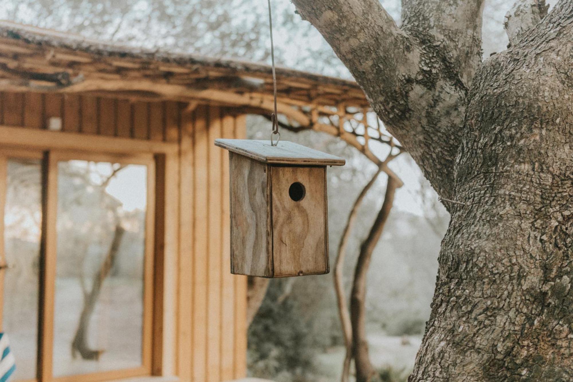 Campingplatz Ecoglamping Entreraices
