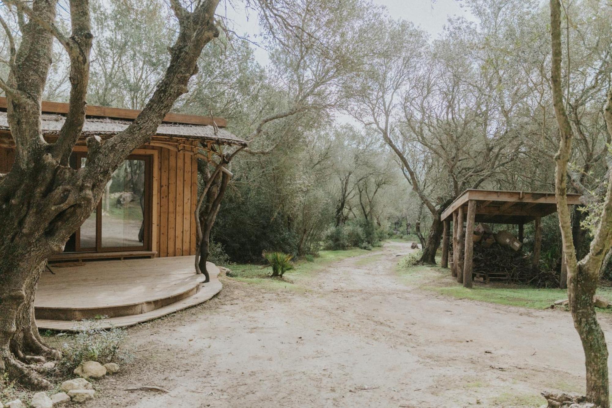 Ecoglamping Entreraices Campingplatz