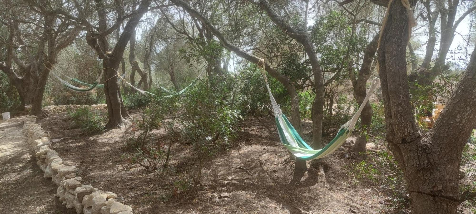 Ecoglamping Entreraices Vejer de la Frontera