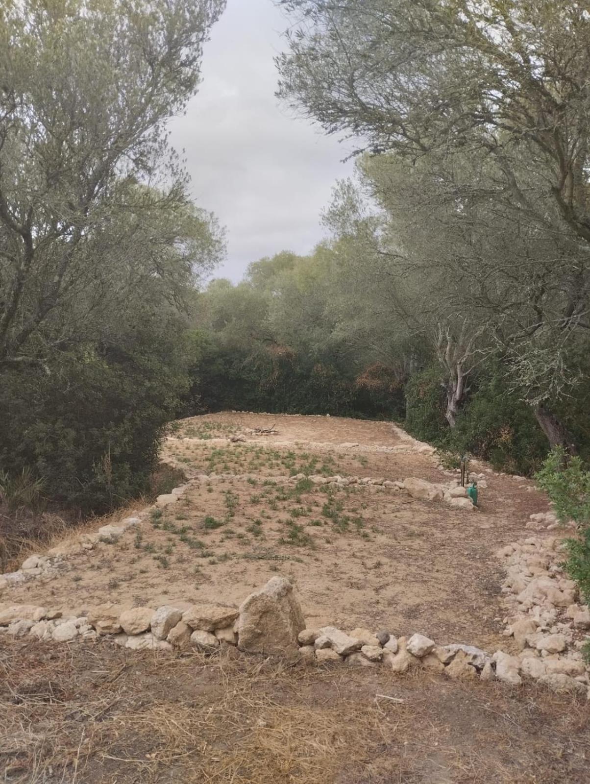 Campsite Ecoglamping Entreraices